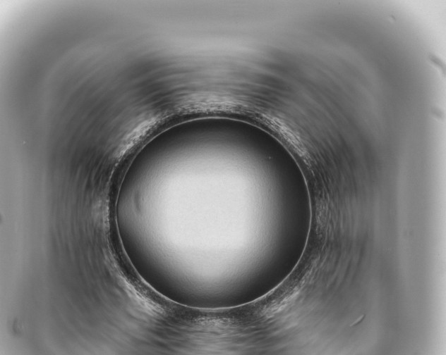 X0000095110629200712141153