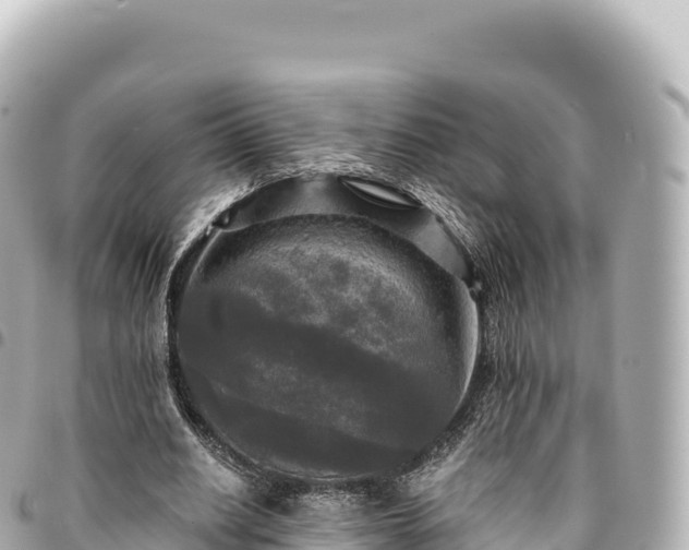 X0000095110630200712141153