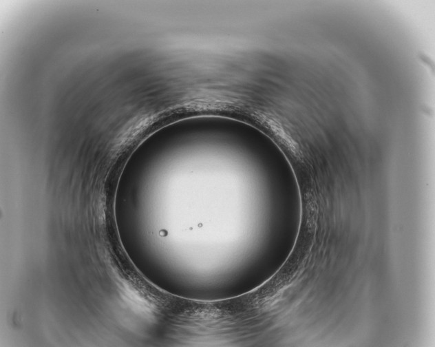 X0000095110631200712141153