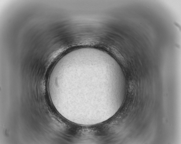 X0000095110632200712141153