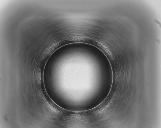 X0000095110633200712141153