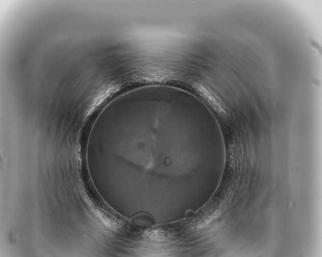 X0000095110634200712141153