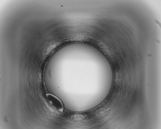 X0000095110636200712141153