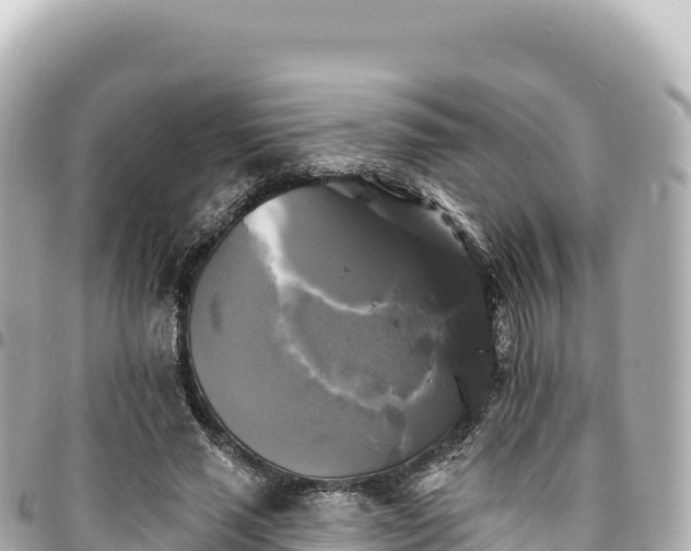 X0000095110637200712141153