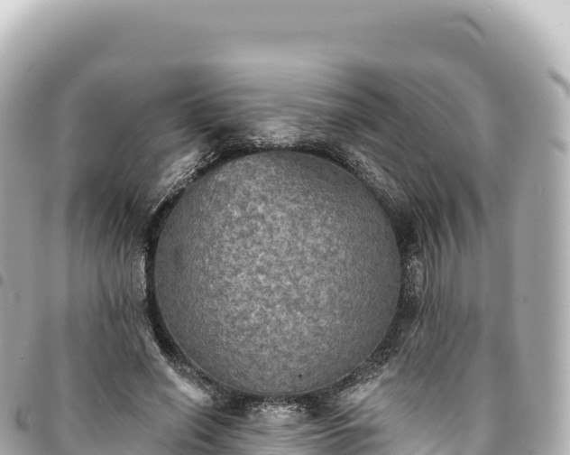 X0000095110638200712141153