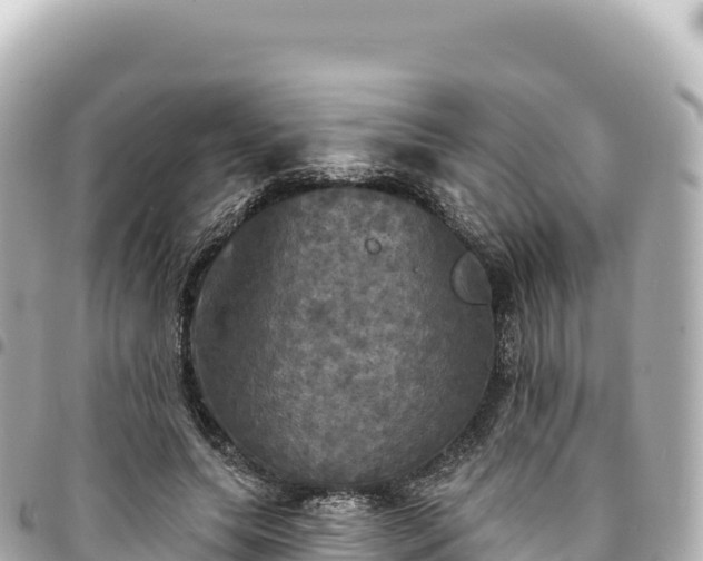 X0000095110639200712141153