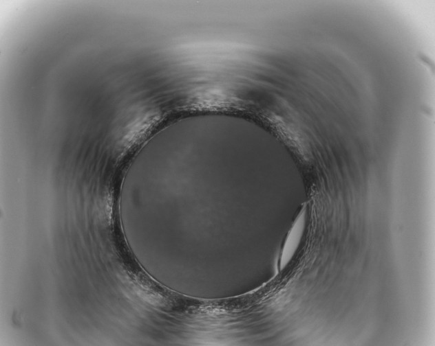 X0000095110640200712141153