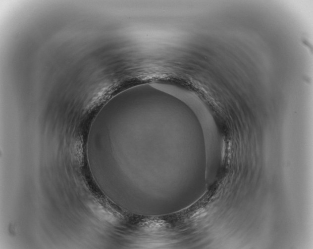 X0000095110642200712141153