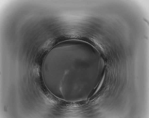 X0000095110643200712141153