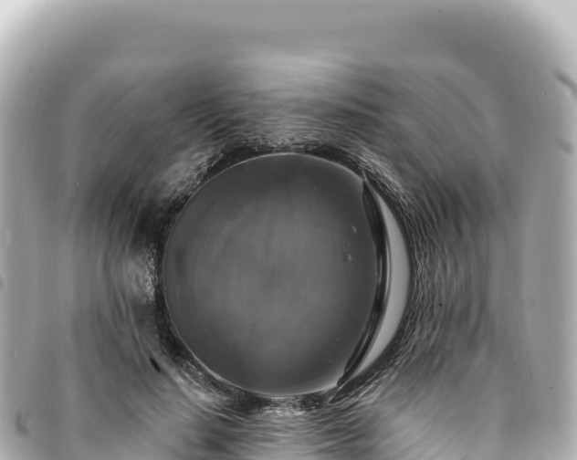 X0000095110644200712141153