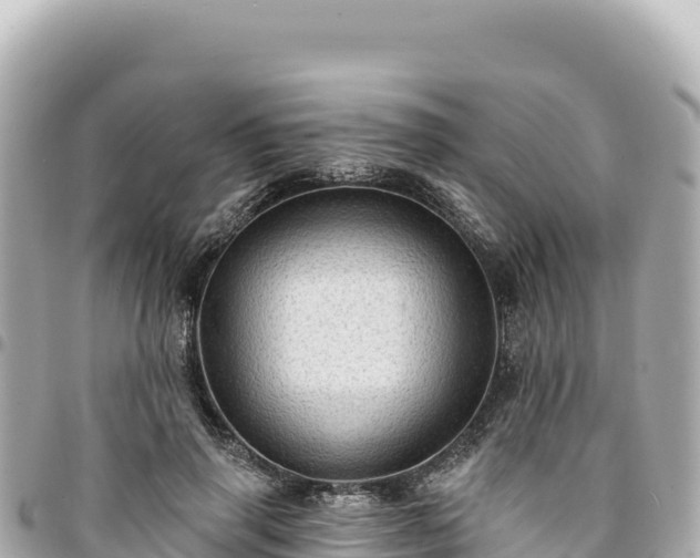 X0000095110645200712141153