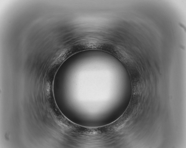 X0000095110646200712141153