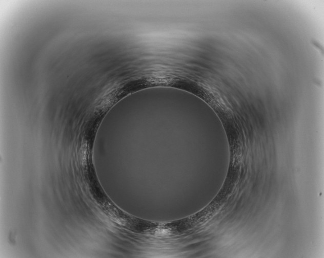 X0000095110647200712141153