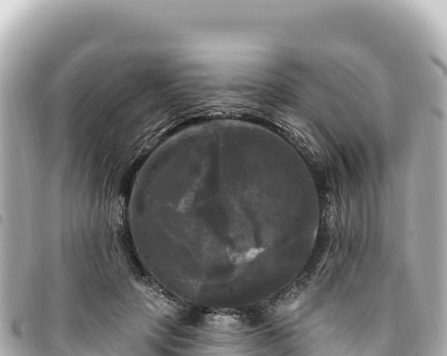 X0000095110649200712141153