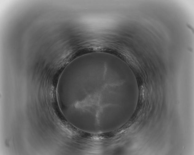 X0000095110650200712141153