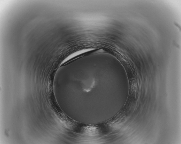 X0000095110651200712141153