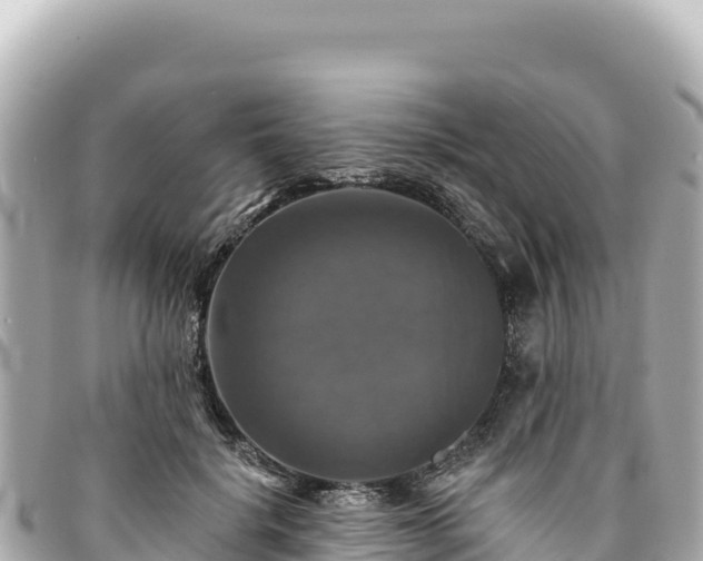 X0000095110652200712141153