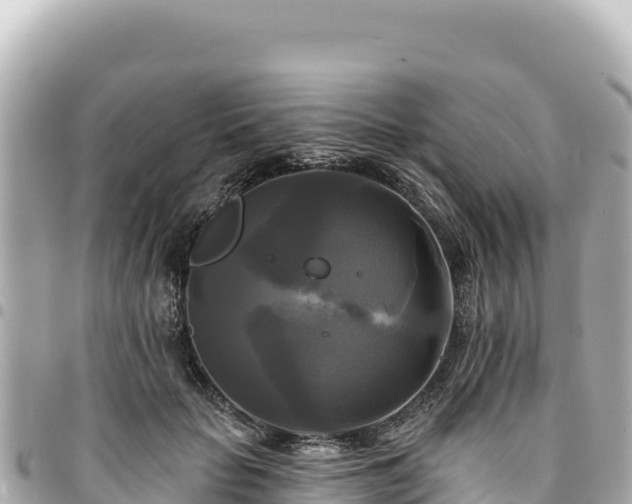 X0000095110653200712141153