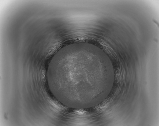 X0000095110654200712141153