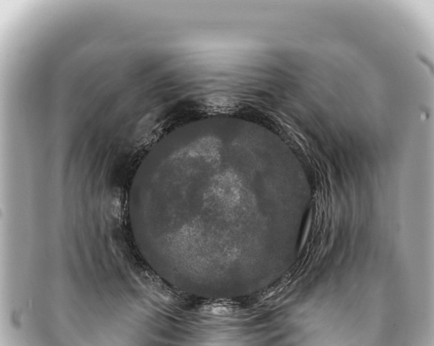 X0000095110655200712141153