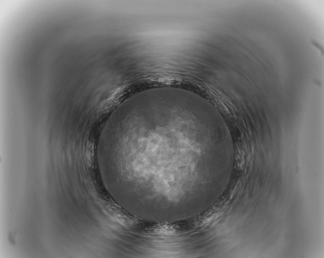 X0000095110656200712141153