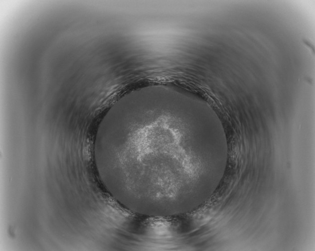 X0000095110658200712141153