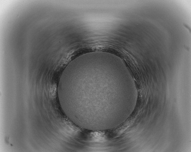 X0000095110660200712141153