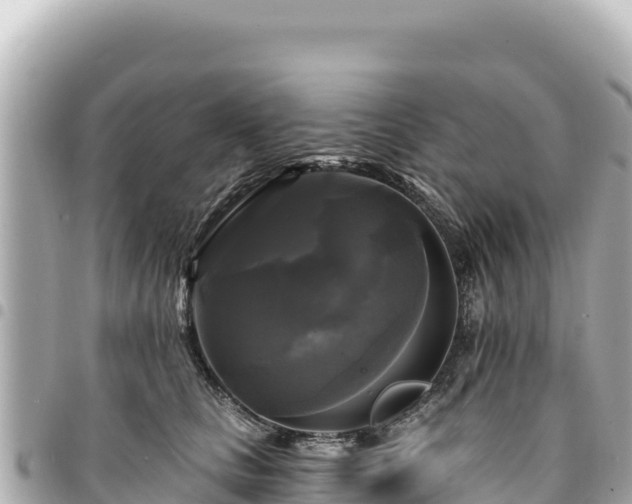 X0000095110661200712141153