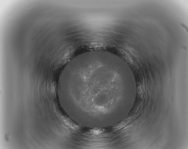 X0000095110662200712141153