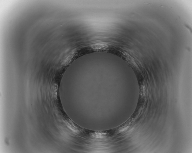 X0000095110664200712141153