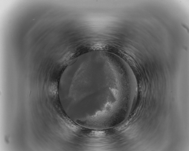 X0000095110665200712141153