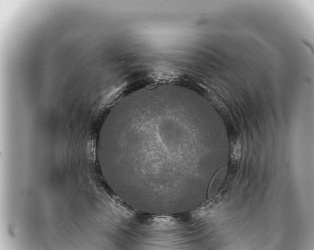 X0000095110666200712141153