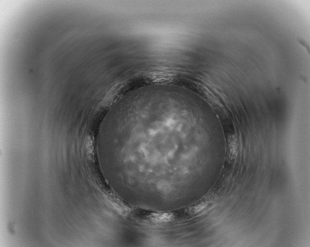 X0000095110667200712141153