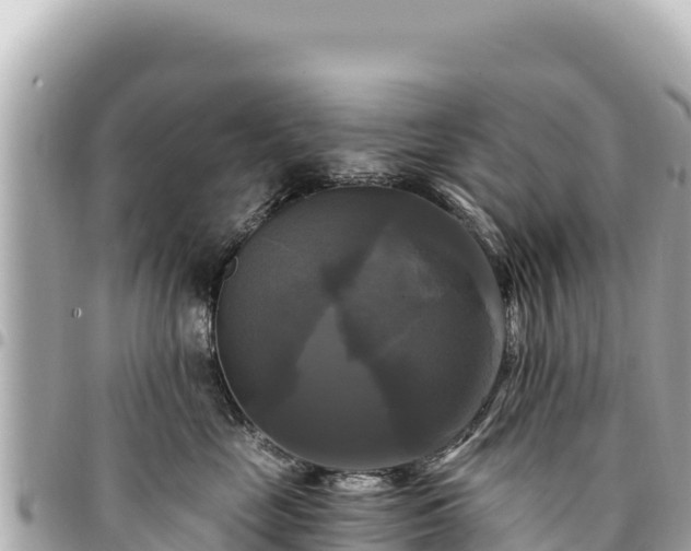 X0000095110669200712141153