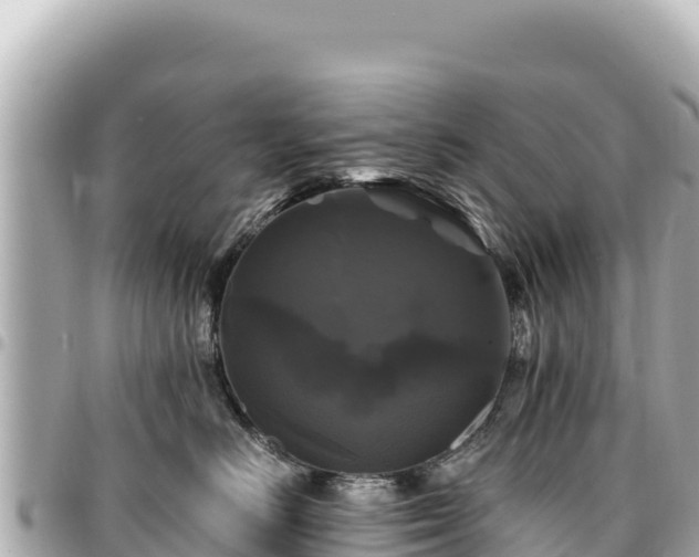 X0000095110670200712141153