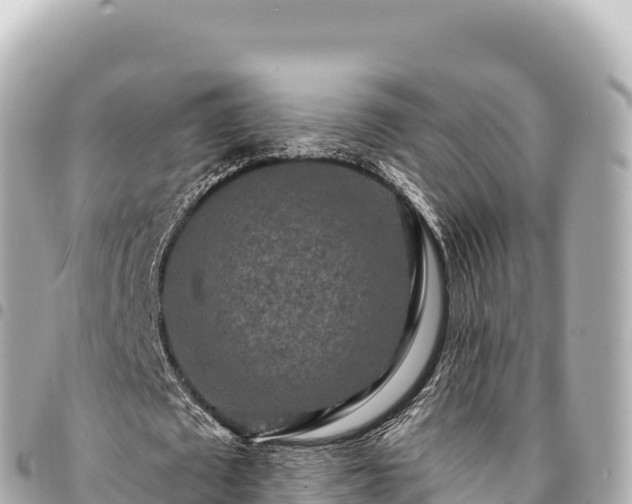 X0000095110673200712141152