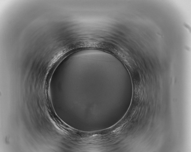 X0000095110674200712141152