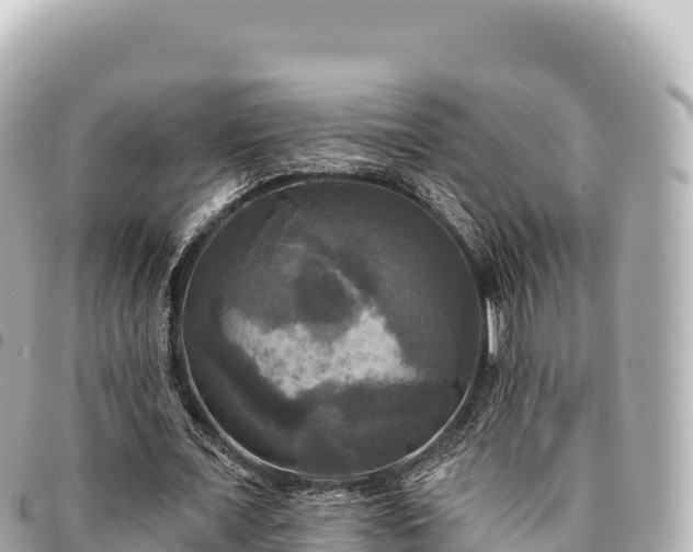 X0000095110675200712141152