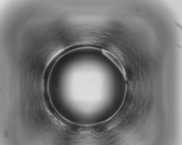 X0000095110676200712141152