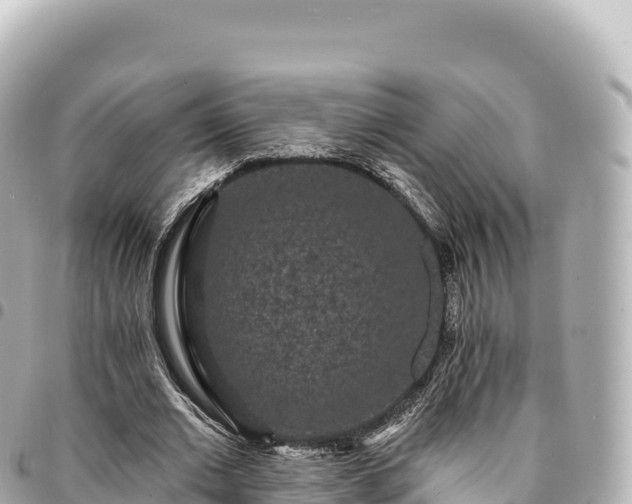 X0000095110677200712141152