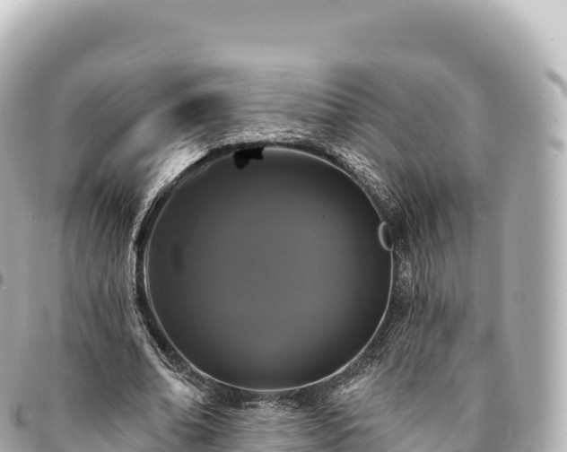 X0000095110678200712141152