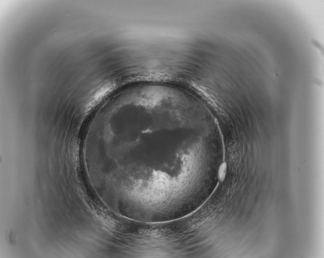 X0000095110679200712141152