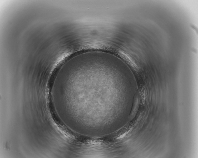 X0000095110680200712141152