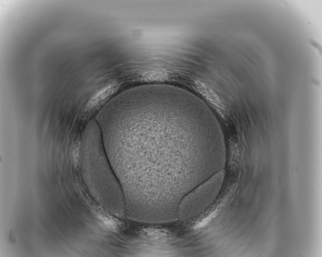 X0000095110681200712141152