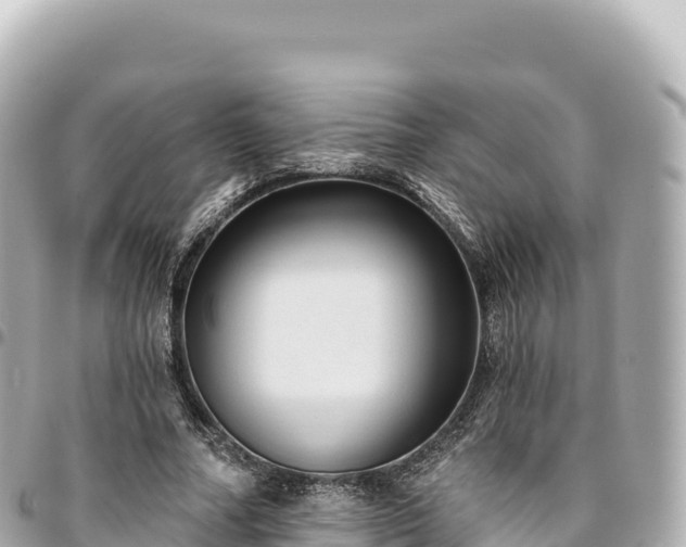 X0000095110682200712141152