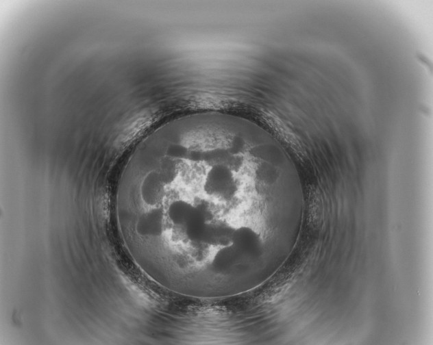 X0000095110683200712141152