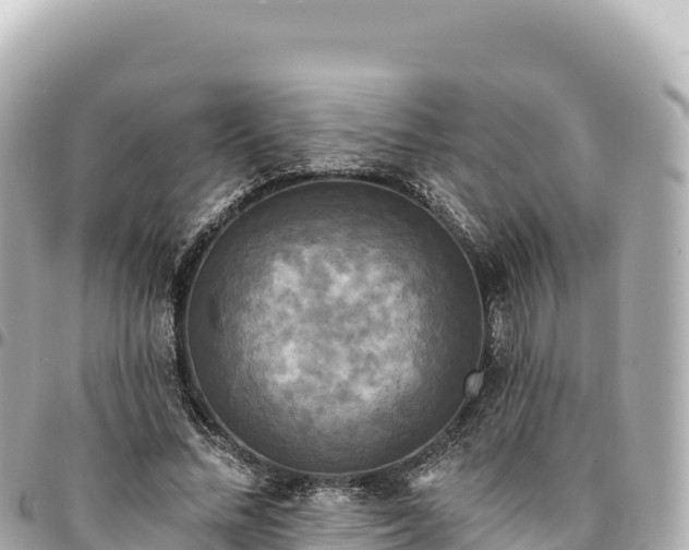 X0000095110684200712141152