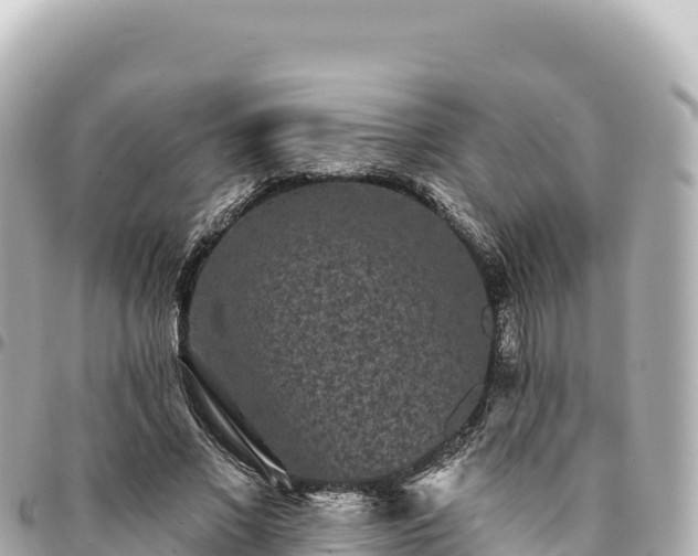 X0000095110685200712141152