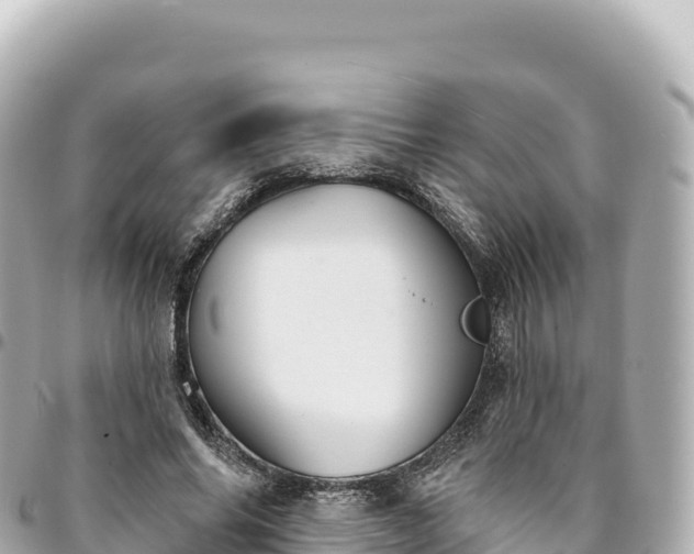 X0000095110686200712141152