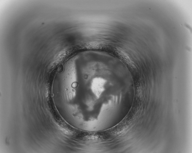 X0000095110687200712141152